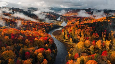 Dramatic aerial drone shot of a winding river cutting through autumn forest. Trees in vivid red, orange, and gold. Low clouds hugging the valley. Landscape photography, wide angle.