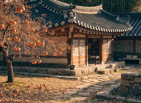 A traditional Korean hanok house with curved tile roof in golden autumn light, with a persimmon tree full of ripe orange fruit in the courtyard.